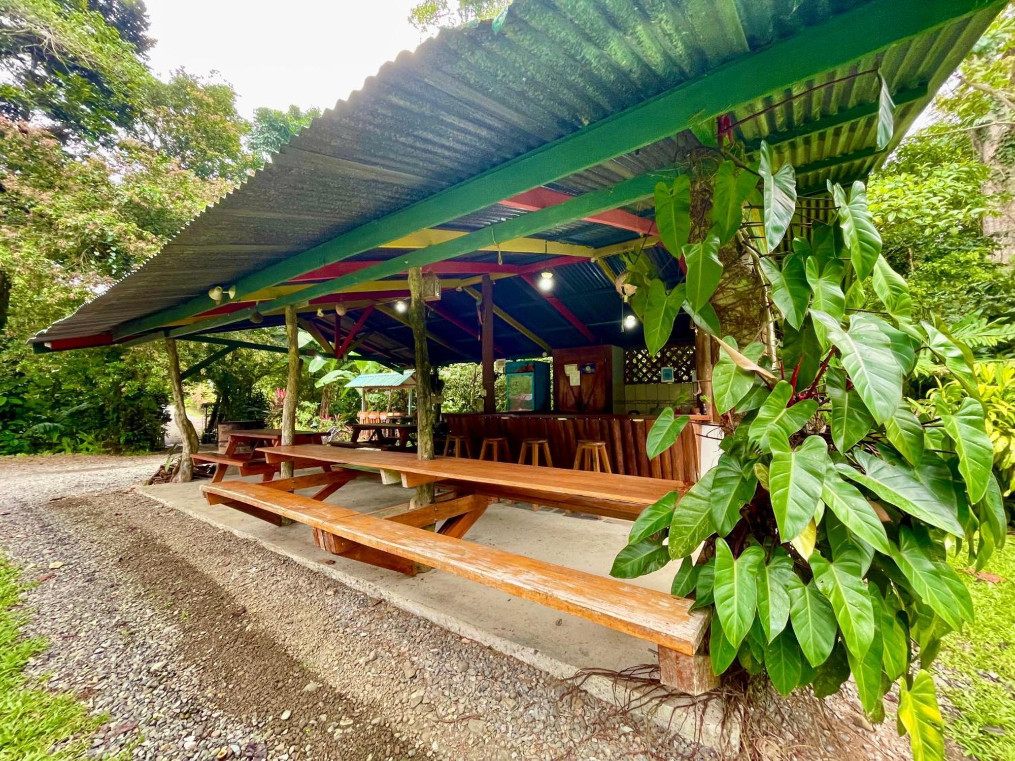 Alouatta Lodge And Canopy Cahuita Exterior photo