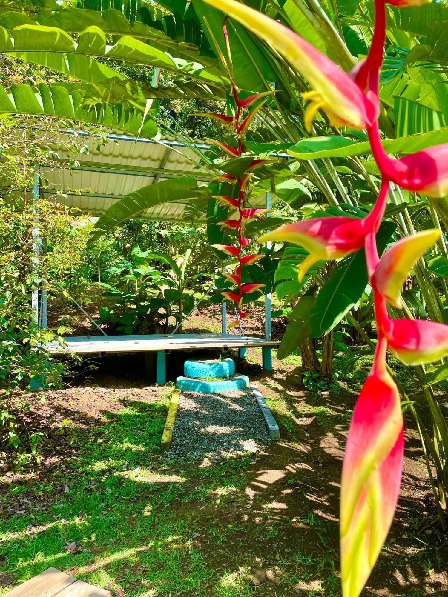 Alouatta Lodge And Canopy Cahuita Exterior photo