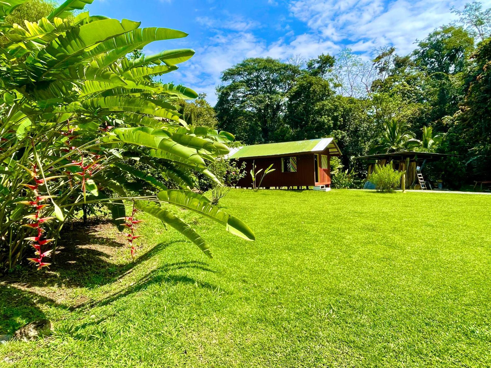 Alouatta Lodge And Canopy Cahuita Exterior photo