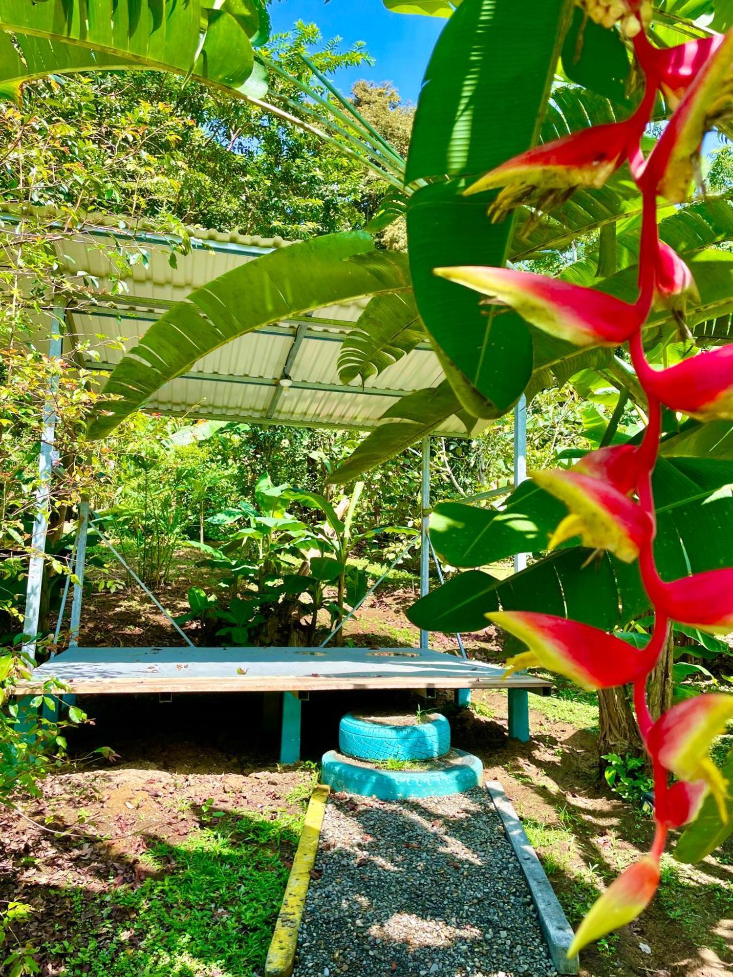 Alouatta Lodge And Canopy Cahuita Exterior photo