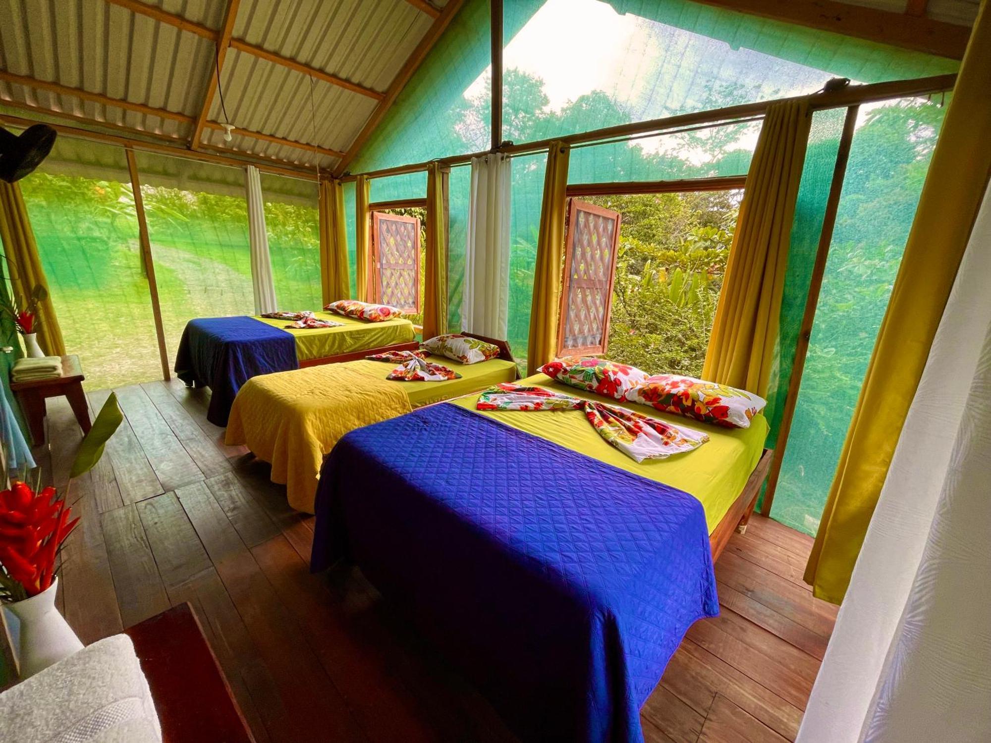 Alouatta Lodge And Canopy Cahuita Exterior photo